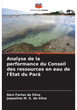 Analyse de la performance du Conseil des ressources en eau de l'État du Pará