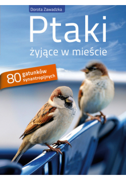 Ptaki żyjące w mieście