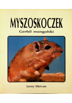Myszoskoczek Gerbil Mongolski