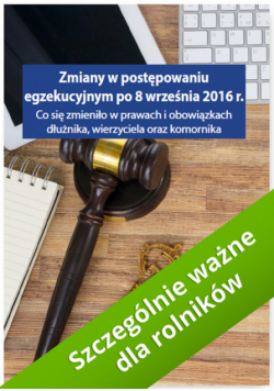Zmiany w postępowaniu egzekucyjnym po 8 września 2016 r. Co się zmieniło w prawach i obowiązkach dłu