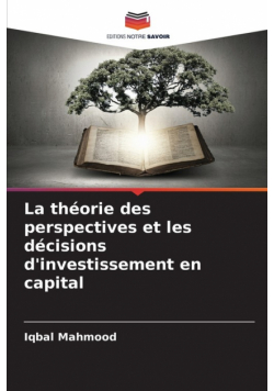 La théorie des perspectives et les décisions d'investissement en capital