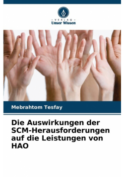 Die Auswirkungen der SCM-Herausforderungen auf die Leistungen von HAO