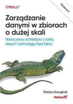 Zarządzanie danymi w zbiorach o dużej skali