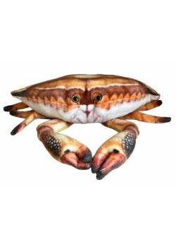 Krab 31cm