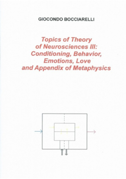 Topics of Theory  of Neurosciences III