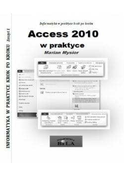 Access 2010 w praktyce