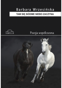 Tam się siódme niebo zaczyna