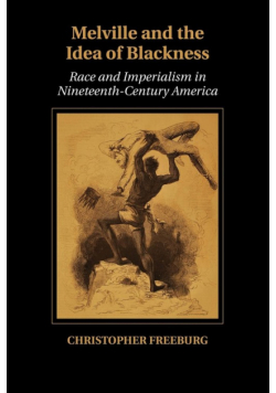 Melville and the Idea of Blackness