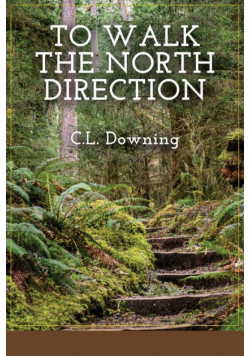 To Walk the North Direction