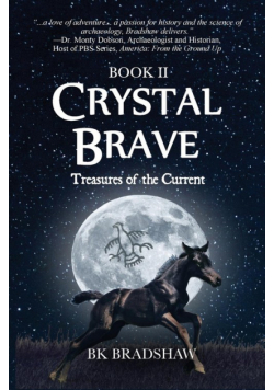 Crystal Brave
