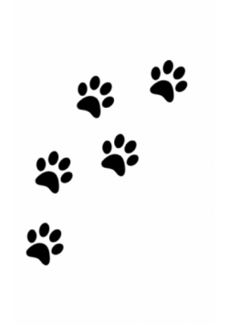 dog  paw print Writing Drawing Journal