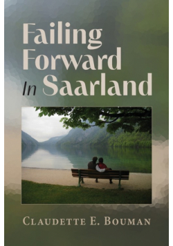 Failing Forward In Saarland