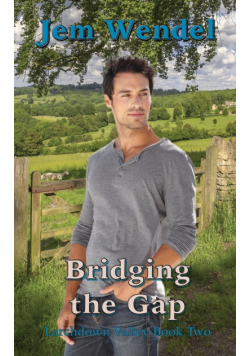 Bridging the Gap