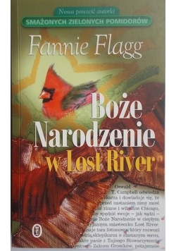 Boże Narodzenie w Lost River