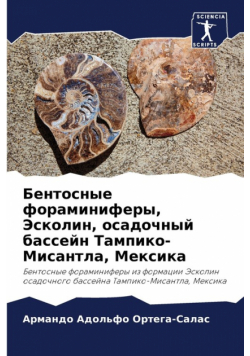 Бентосные фораминиферы, Эсколин, осадочный бассейн Тампико-Мисантла, Мексика