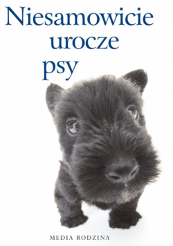 Niesamowicie urocze psy