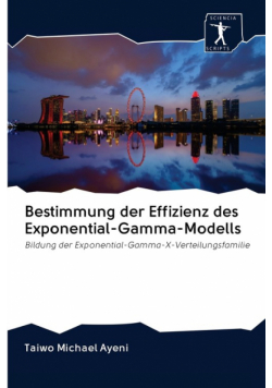 Bestimmung der Effizienz des Exponential-Gamma-Modells