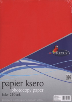 Papier ksero A4 250 arkuszy kolor mix
