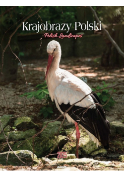 Kalendarz 2025 ścienny mały na spirali Krajobrazy Polski KSMS-1