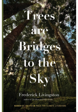 Trees are Bridges to the Sky