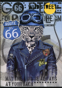 Zeszyt A5 Wild Streets w kratkę 60 kartek