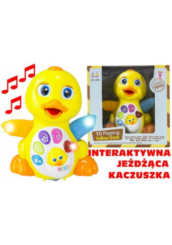Jeżdżąca kaczka