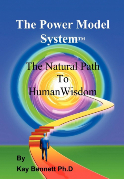 The Power Model System[