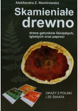 Skamieniałe drewno drzew gatunków liściastych iglastych oraz paproci