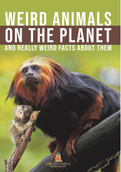 Weird Animals on the Planet and Really Weird Facts About Them