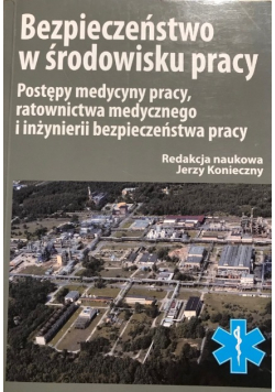 Bezpieczeństwo w środowisku pracy