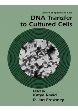 DNA Transfer to Cultured Cells