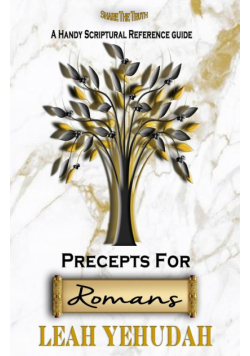 Precepts For Romans