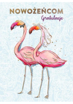 Karnet B6 Ślub z kieszonką - Flamingi