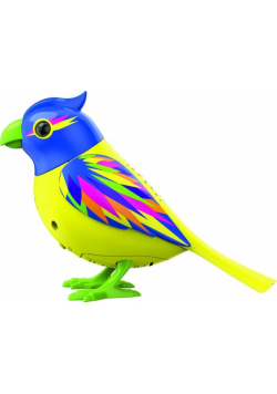 DigiBirds 3 Brazil