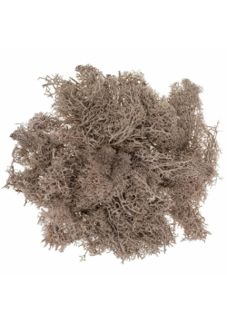 Mech brązowy 30g