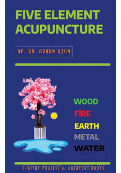 Five Element Acupuncture