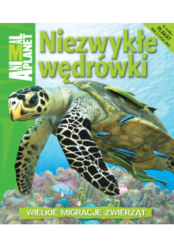 Dwight Holing - Niezwykłe wędrówki