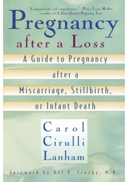 Pregnancy After a Loss