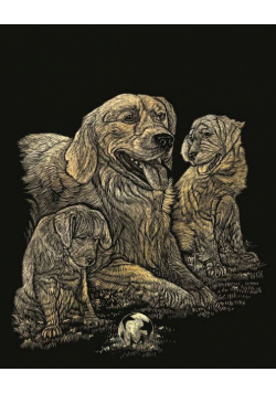 Wydrapywanka Standard złota - Golden Retriever