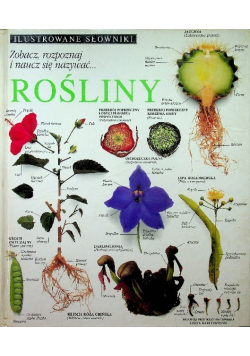 Rośliny Ilustrowany słownik