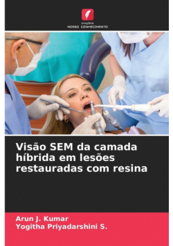 Visão SEM da camada híbrida em lesões restauradas com resina