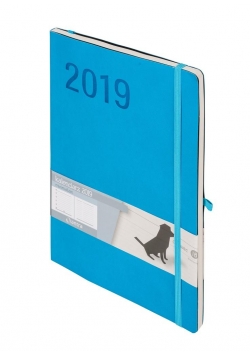 Kalendarz 2019 Minimalizm B5 Niebieski TNS ANTRA