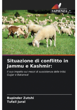 Situazione di conflitto in Jammu e Kashmir