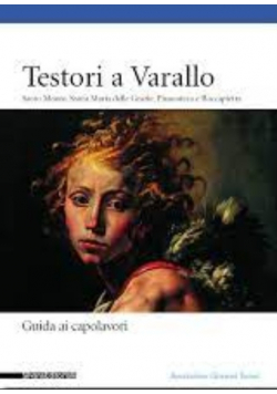 Testori a varallo