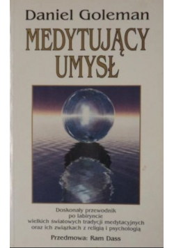 Medytujący Umysł