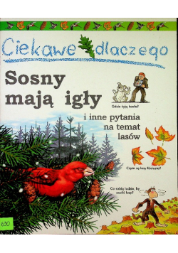 Ciekawe dlaczego Sosny mają igły
