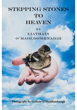 Stepping Stones to Heaven