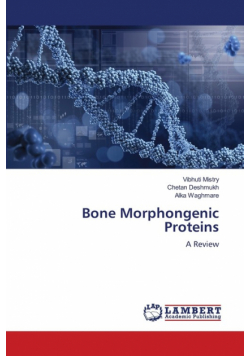 Bone Morphongenic Proteins
