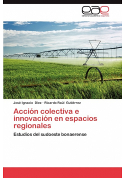 Accion Colectiva E Innovacion En Espacios Regionales