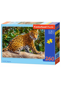 Puzzle Little Jaguar 260